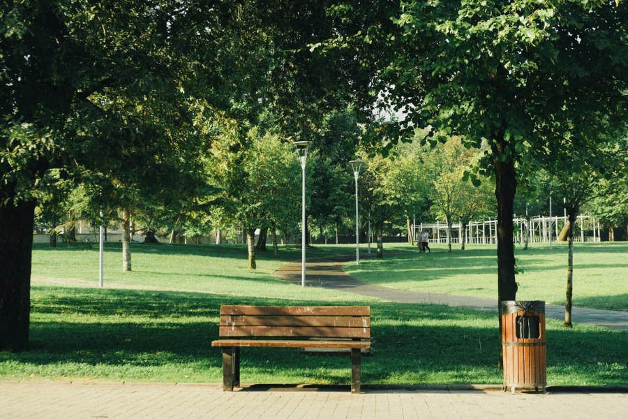 Bench in the Park Bench in the Park