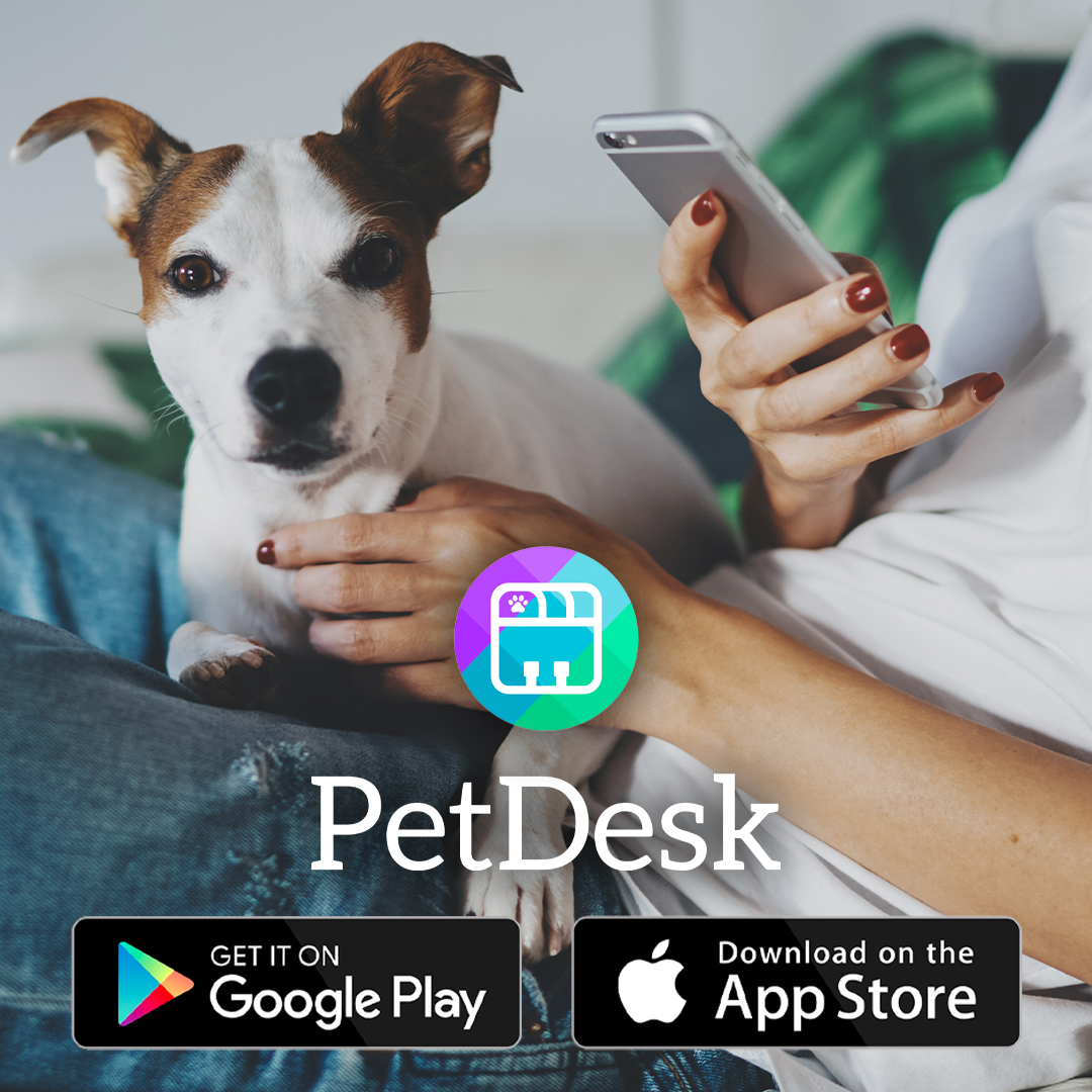pet-desk-graphic