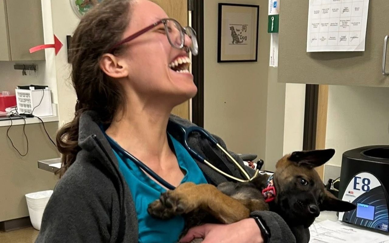 vet staff